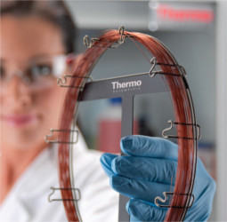 Columnas TRACE™ TR-5MS GC