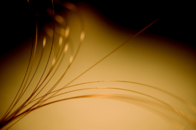 Columnas Capilares GuardGOLD™